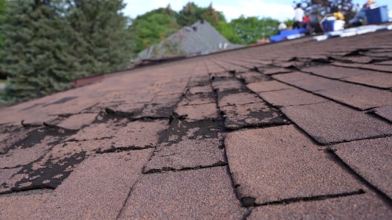 Best Asphalt Shingles Roofing  in San Mateo, CA