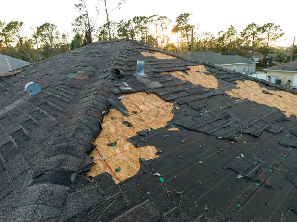 Best Roof Maintenance and Cleaning  in San Mateo, CA