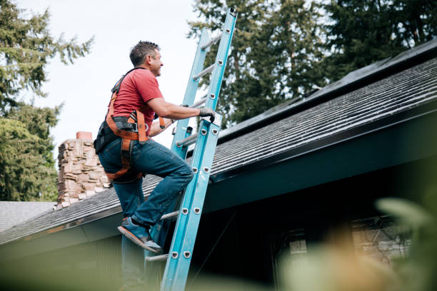 Best Roof Moss and Algae Removal  in San Mateo, CA